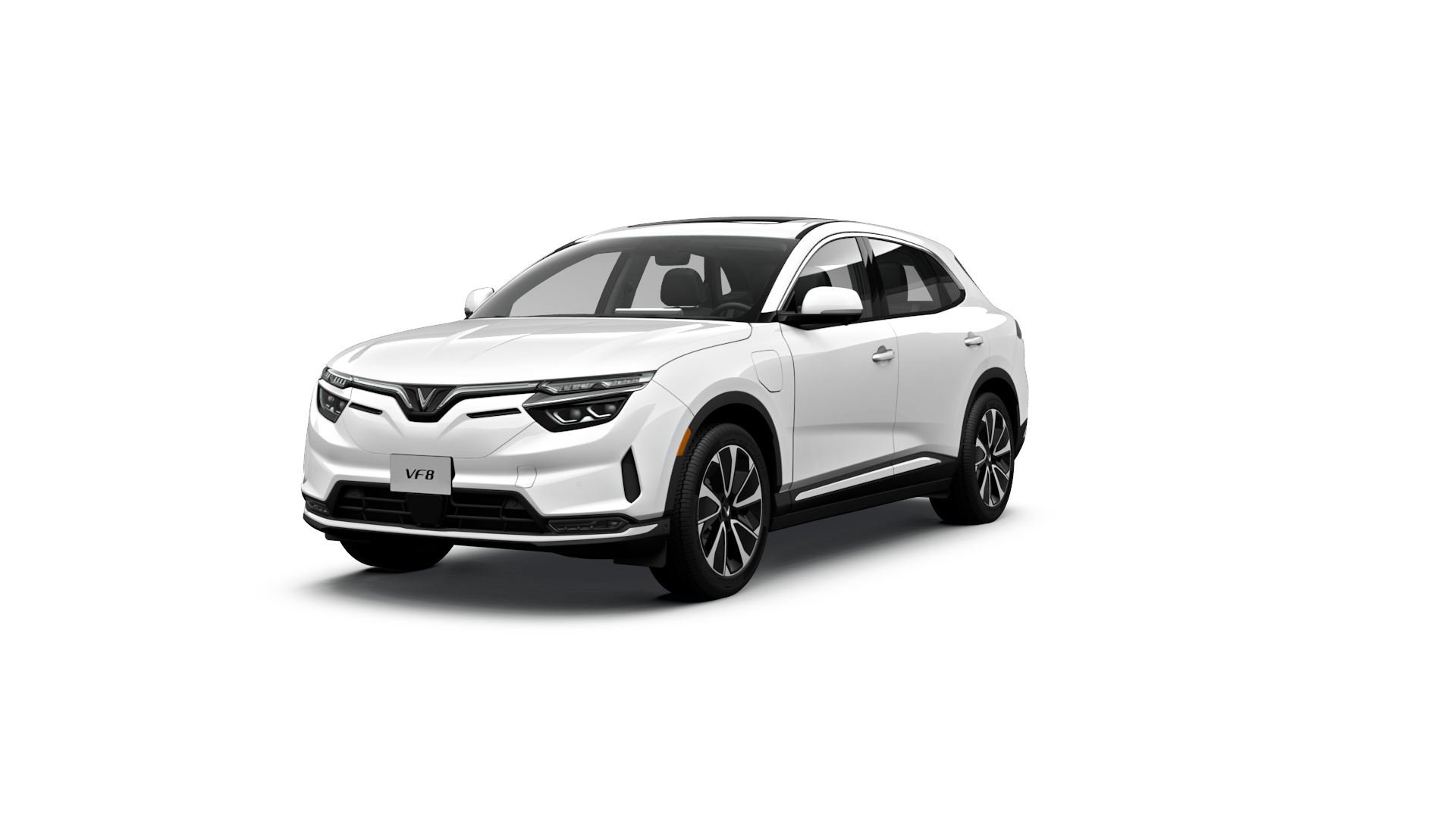 2025 VF 8